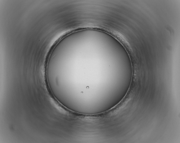 X0000113180942200909181850