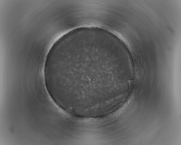 X0000113180943200909181850