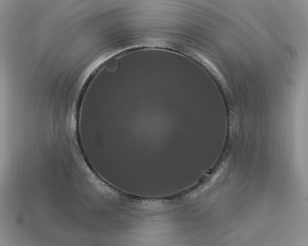 X0000113180944200909181850