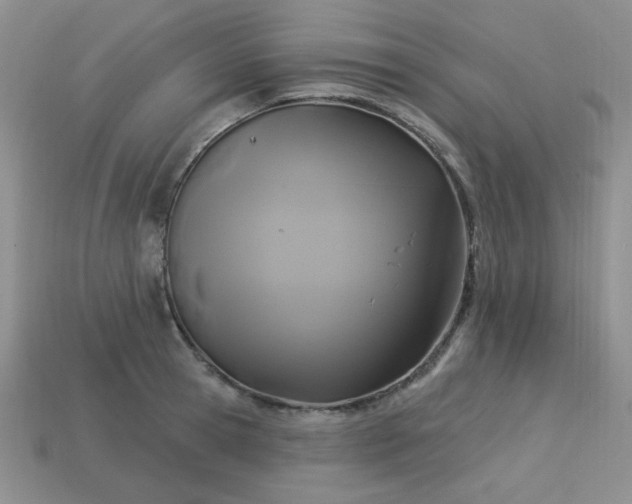 X0000113180945200909181850