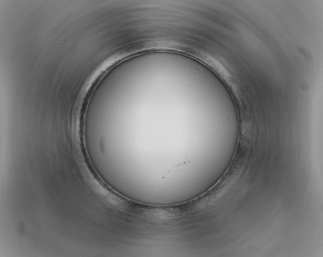 X0000113180947200909181850