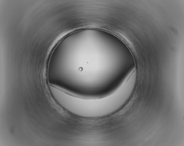 X0000113180948200909181850