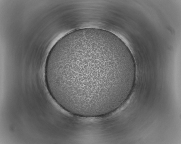 X0000113180949200909181850