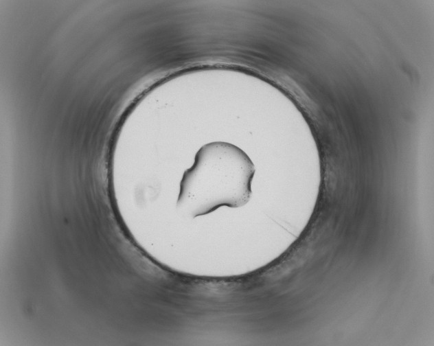 X0000113180950200909181850