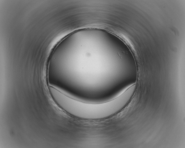 X0000113180952200909181850