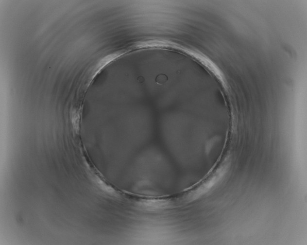 X0000113180953200909181850