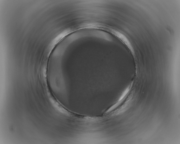 X0000113180954200909181850