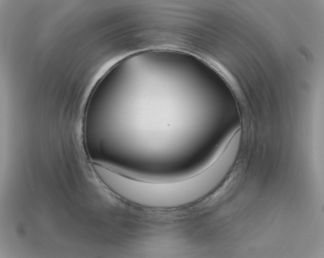 X0000113180956200909181850