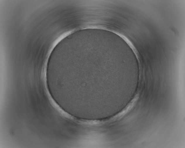 X0000113180957200909181850