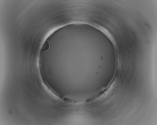 X0000113180958200909181850