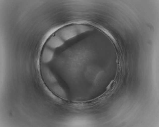 X0000113180959200909181850