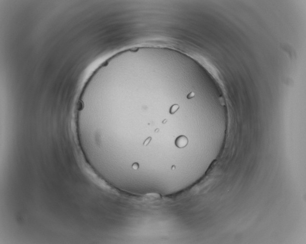 X0000113180960200909181850