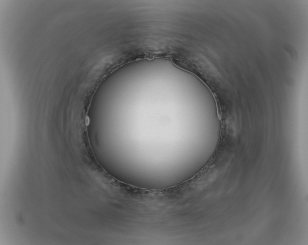 X0000113180961200909181850