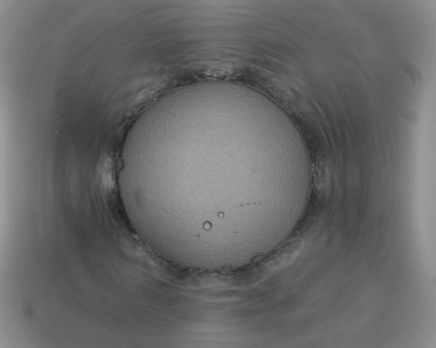 X0000113180962200909181850