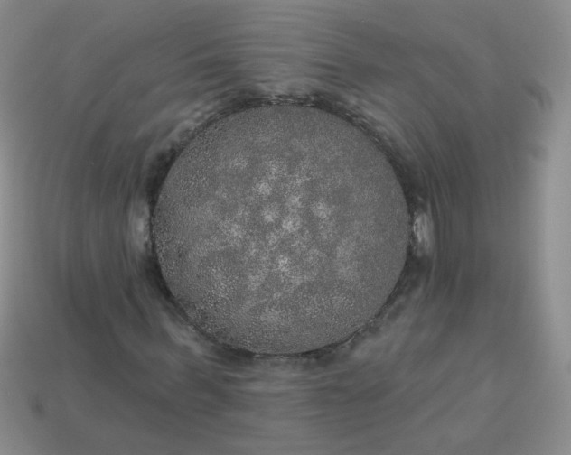 X0000113180963200909181850