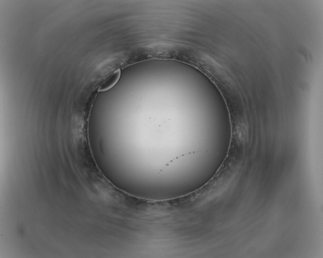 X0000113180964200909181850