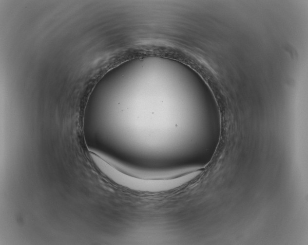 X0000113180965200909181850