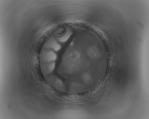 X0000113180966200909181850