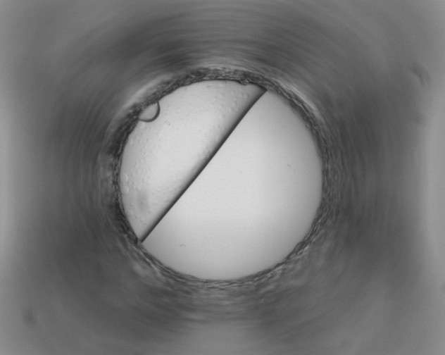 X0000113180968200909181850