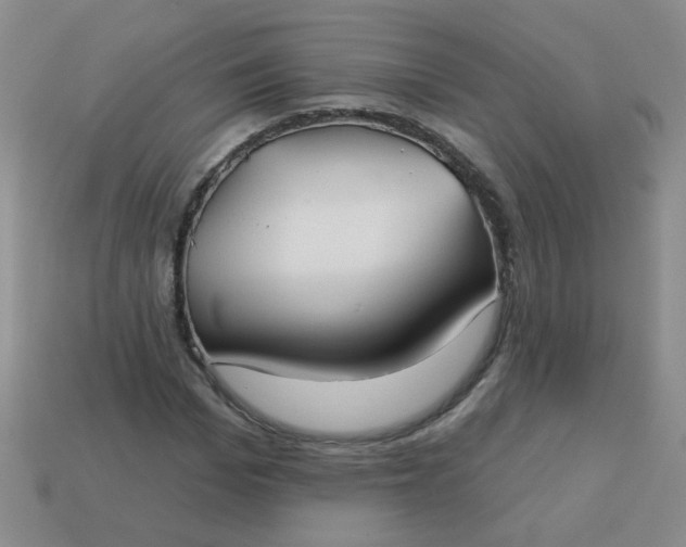 X0000113180969200909181850