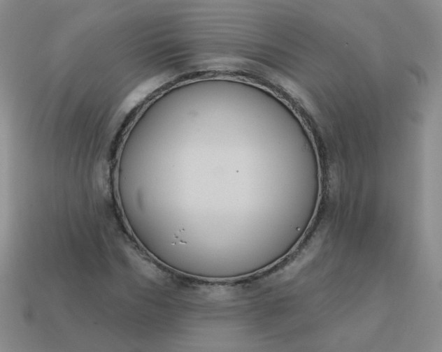 X0000113180970200909181850