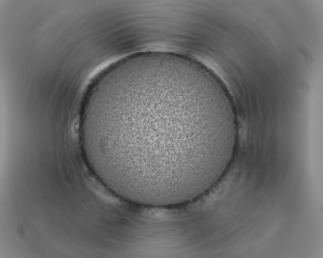 X0000113180971200909181850