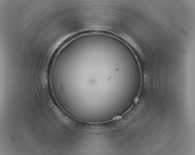 X0000113180972200909181849