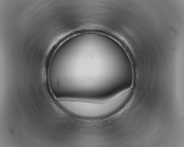 X0000113180973200909181849