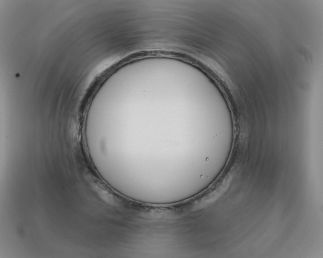 X0000113180974200909181849