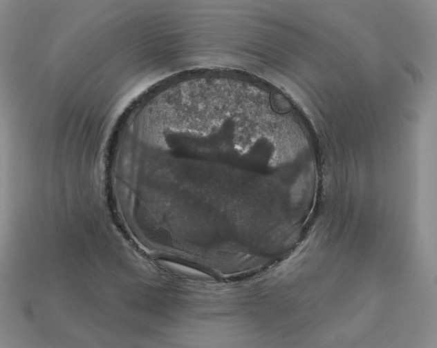 X0000113180975200909181849