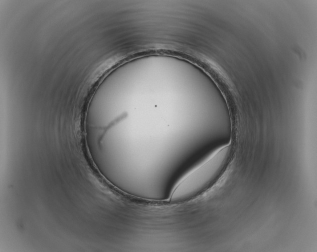 X0000113180977200909181849