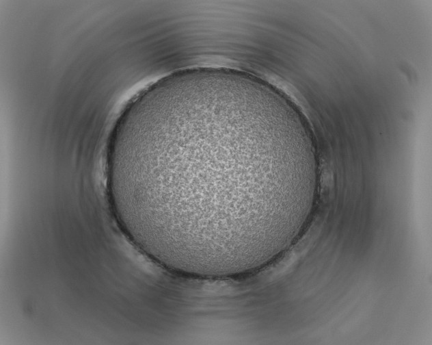 X0000113180979200909181849