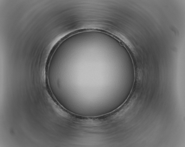 X0000113180980200909181849