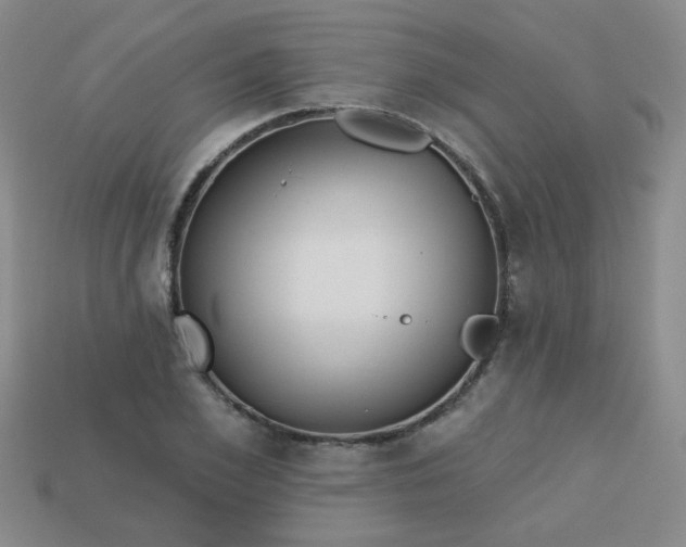 X0000113180981200909181849