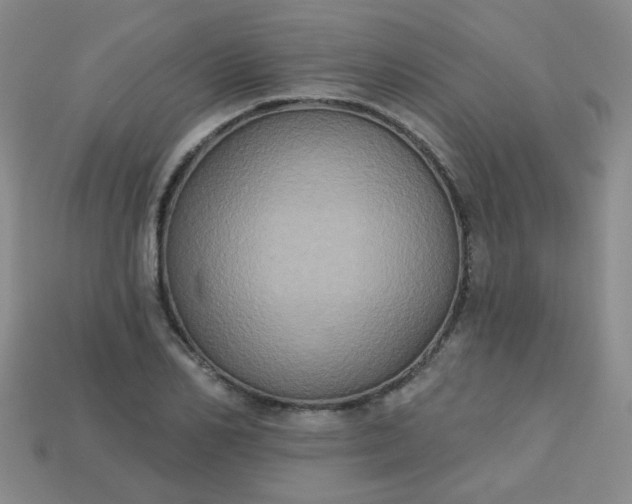 X0000113180982200909181849