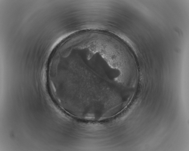 X0000113180983200909181849