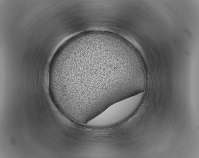 X0000113180984200909181849