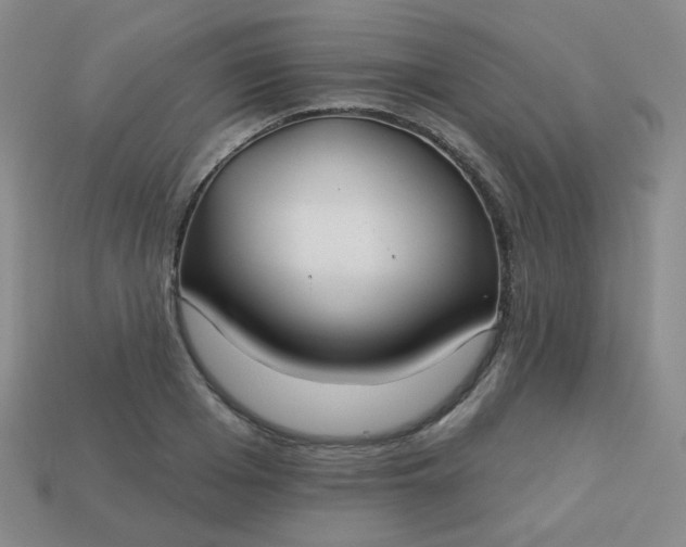 X0000113180985200909181849