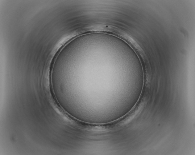 X0000113180986200909181849