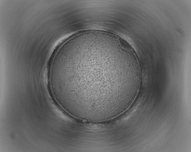 X0000113180987200909181849