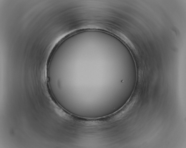 X0000113180988200909181849