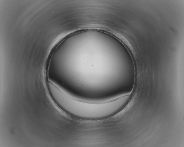 X0000113180989200909181849