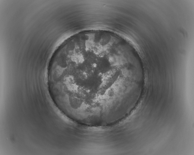 X0000113180990200909181849