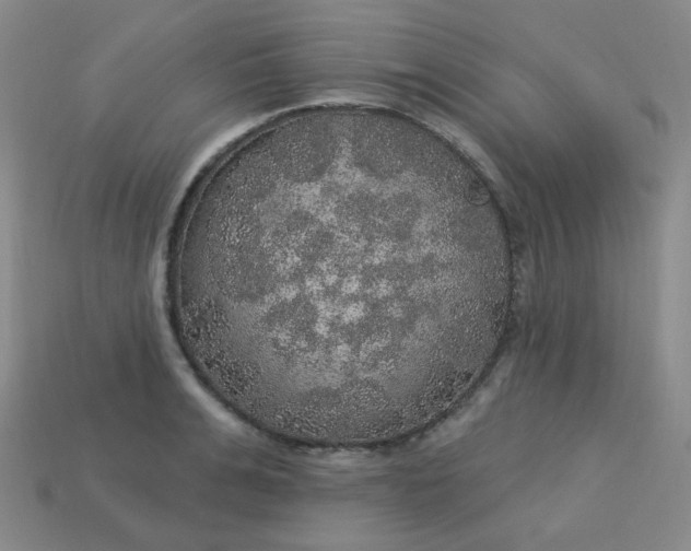 X0000113180991200909181849