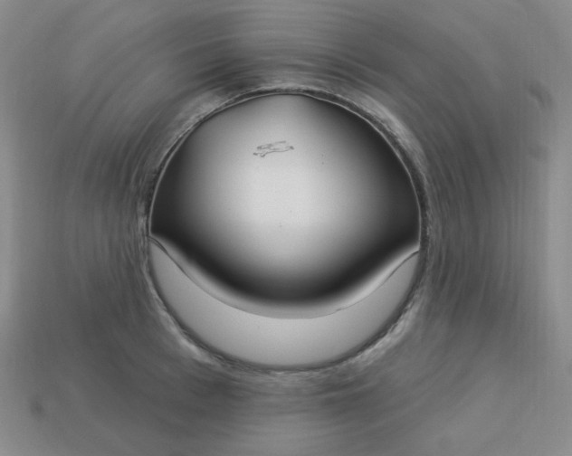 X0000113180993200909181849