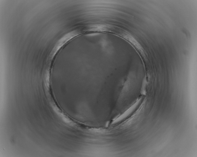 X0000113180994200909181849