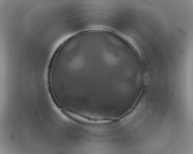 X0000113180995200909181849