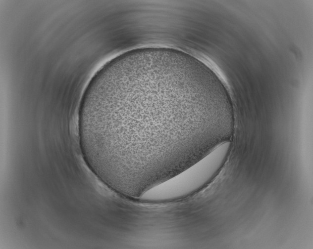 X0000113180996200909181849