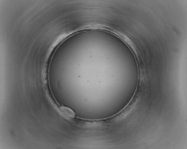 X0000113180997200909181849