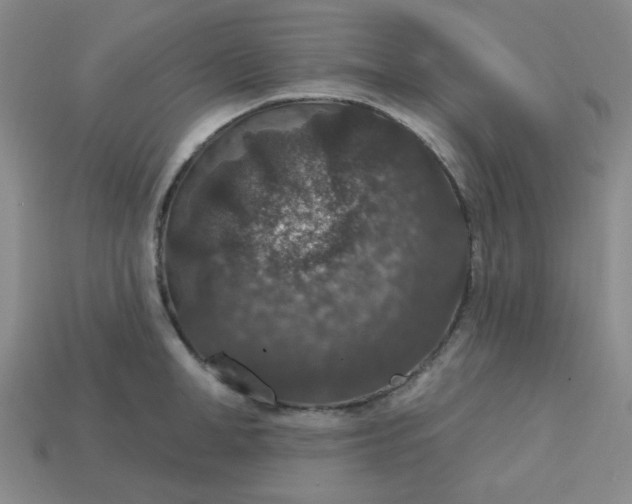 X0000113180998200909181849